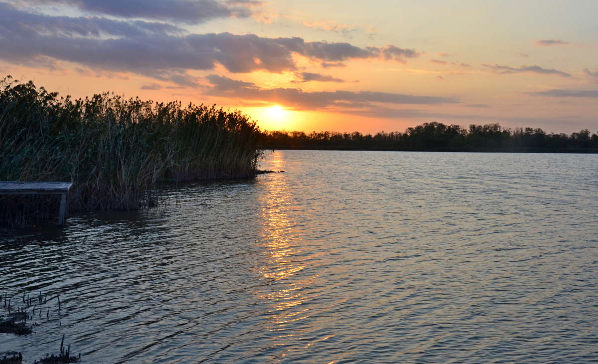 ����� �� ���� ����� ����� ����  �� PhotoGeek.ru #������ ��� ������� #����� �������������� #���������