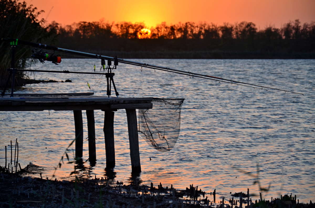 ��������  �����, ������� ����� ����  �� PhotoGeek.ru #������ #������ ��� ������� #����� �������������� #���������