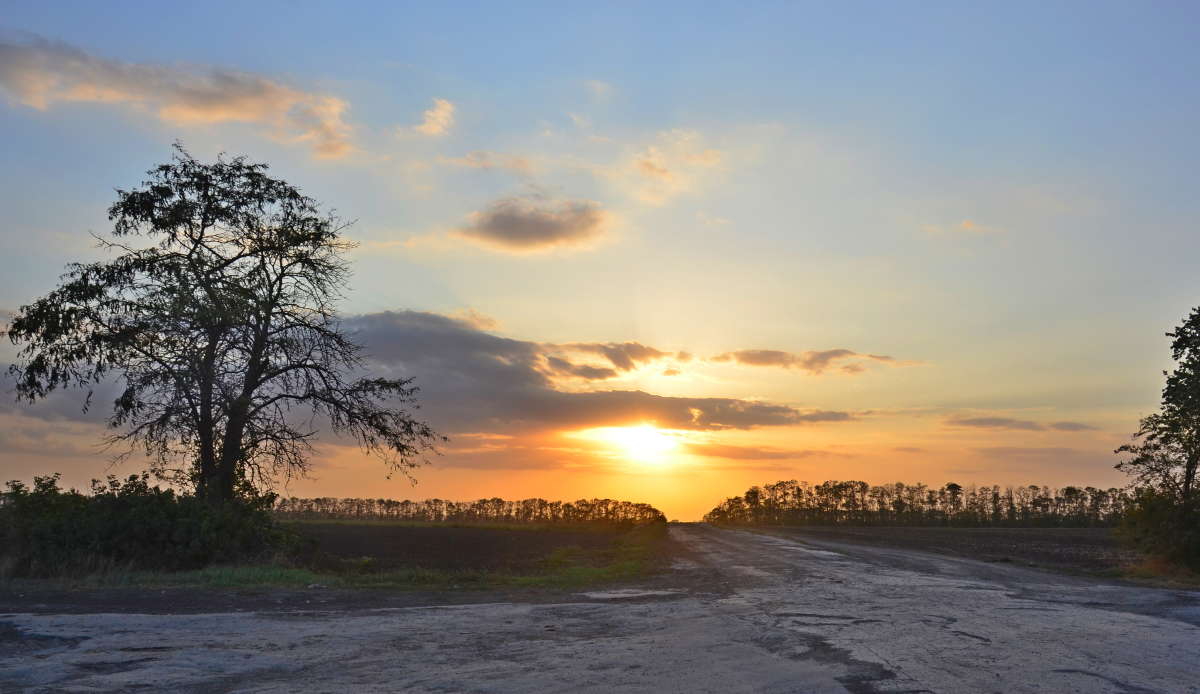 �� ���� � ��������� ������ ����� ����  �� PhotoGeek.ru #������ #������ ��� ������� #����� �������������� #���������