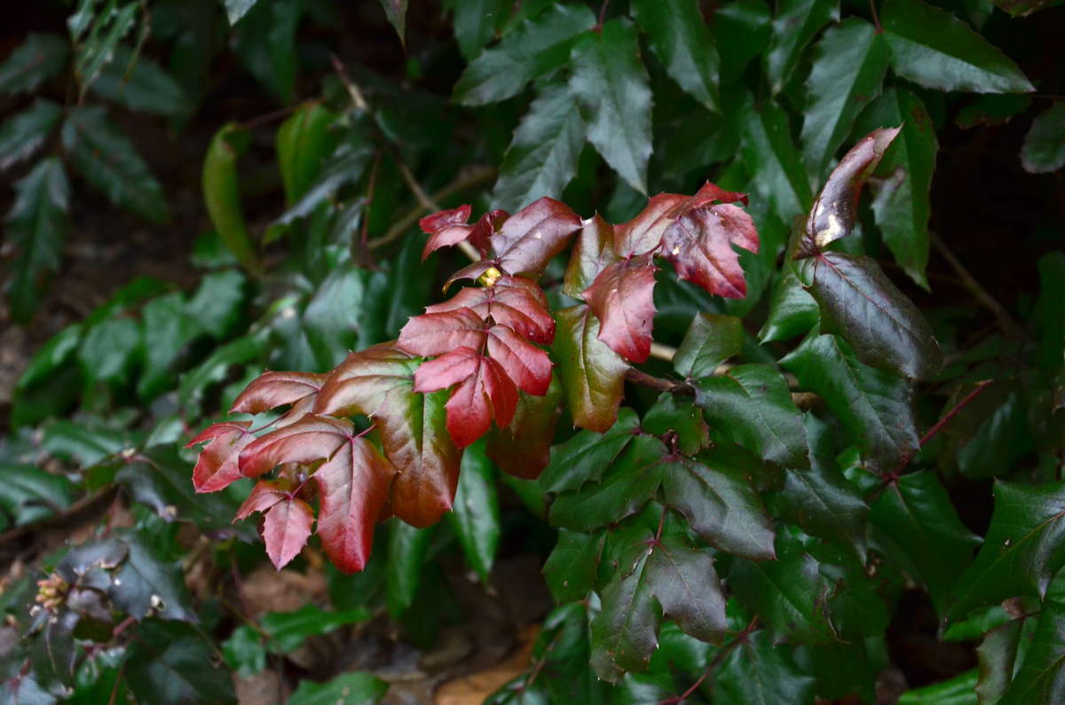 ... ����� ����  �� PhotoGeek.ru #������ ��� ������� #����� �������������� #���������