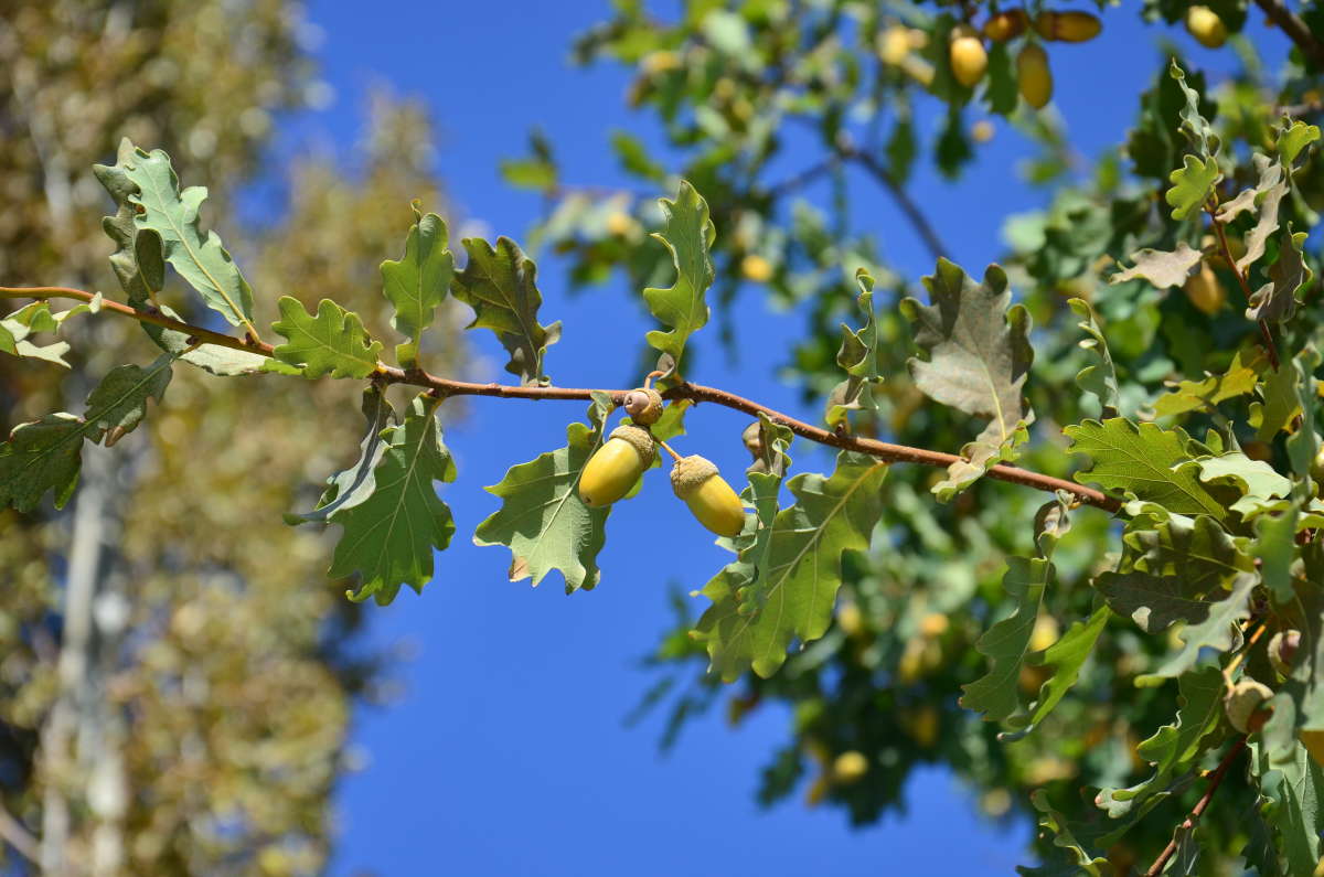 ������ ����� � ����� ��������� (����  ���������) ����� ����  �� PhotoGeek.ru #������ ��� ������� #����� �������������� #���������