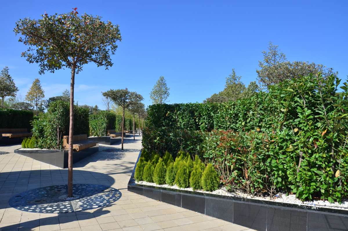 � ����� ��������� (���� ���������) ����� ����  �� PhotoGeek.ru #������ #����� #������ ��� ������� #����������� #��������� ������