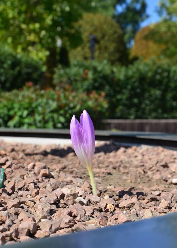 � ����� ��������� (���� ���������) ����� ����  �� PhotoGeek.ru #������ ��� ������� #����� �������������� #���������