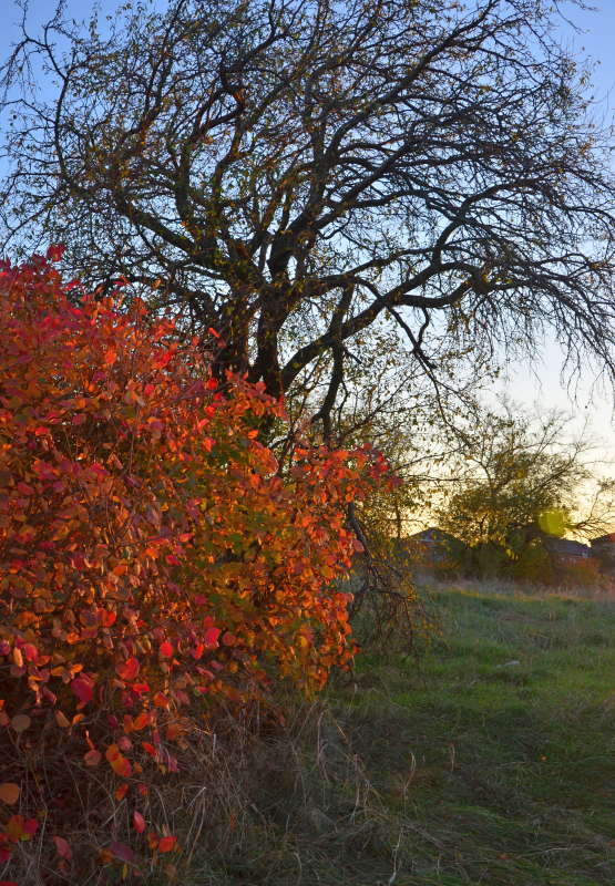 ���� ����� ����  �� PhotoGeek.ru #������ ��� ������� #����� �������������� #���������