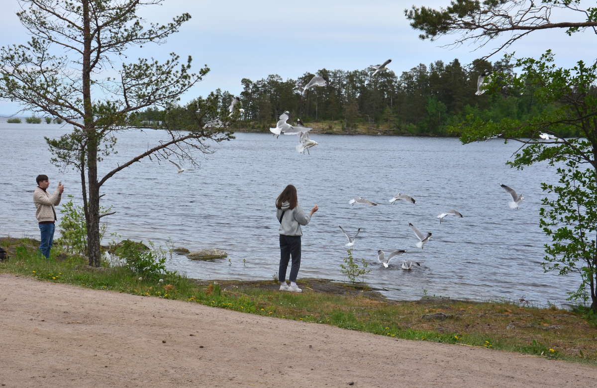   ?!     PhotoGeek.ru #  # #-