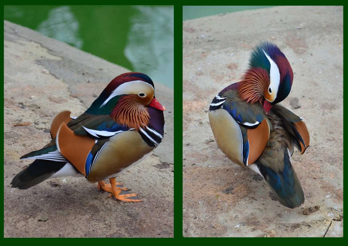 ���������� ����� ����  �� PhotoGeek.ru #�������� ��� #����� ��� ��� ���������