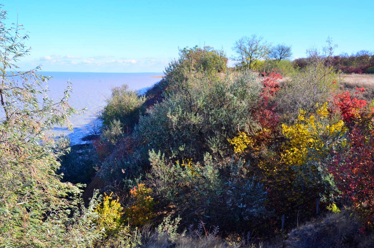 ������� ����� ����  �� PhotoGeek.ru #������ ��� ������� #����� �������������� #���������