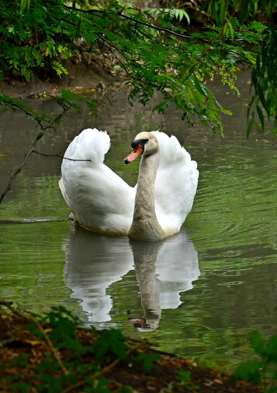      PhotoGeek.ru #  #    # 