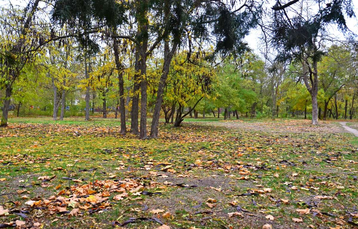 � ����� ����� ����  �� PhotoGeek.ru #������ ��� ������� #����� �������������� #���������