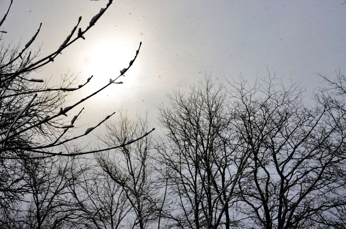 �� ������� ����� ����  �� PhotoGeek.ru #������ ��� ������� #���������