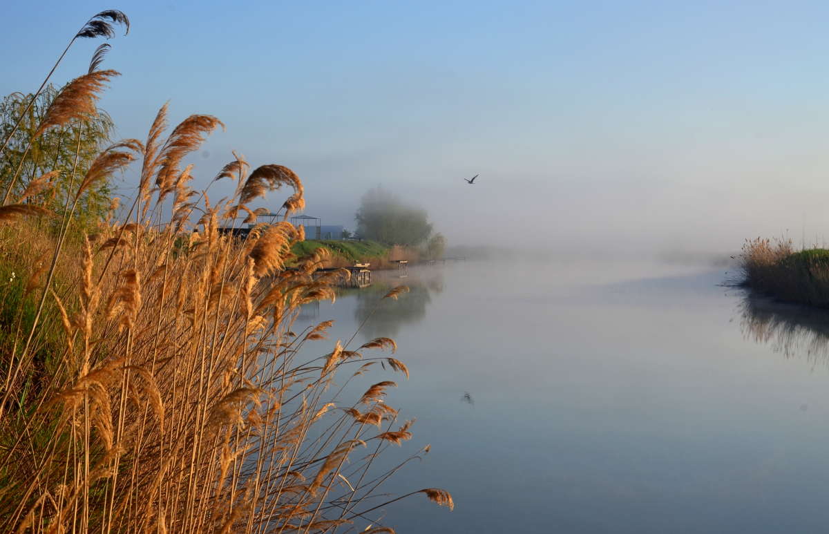 ���� � ������ ����� ����  �� PhotoGeek.ru #������ ��� ������� #���������