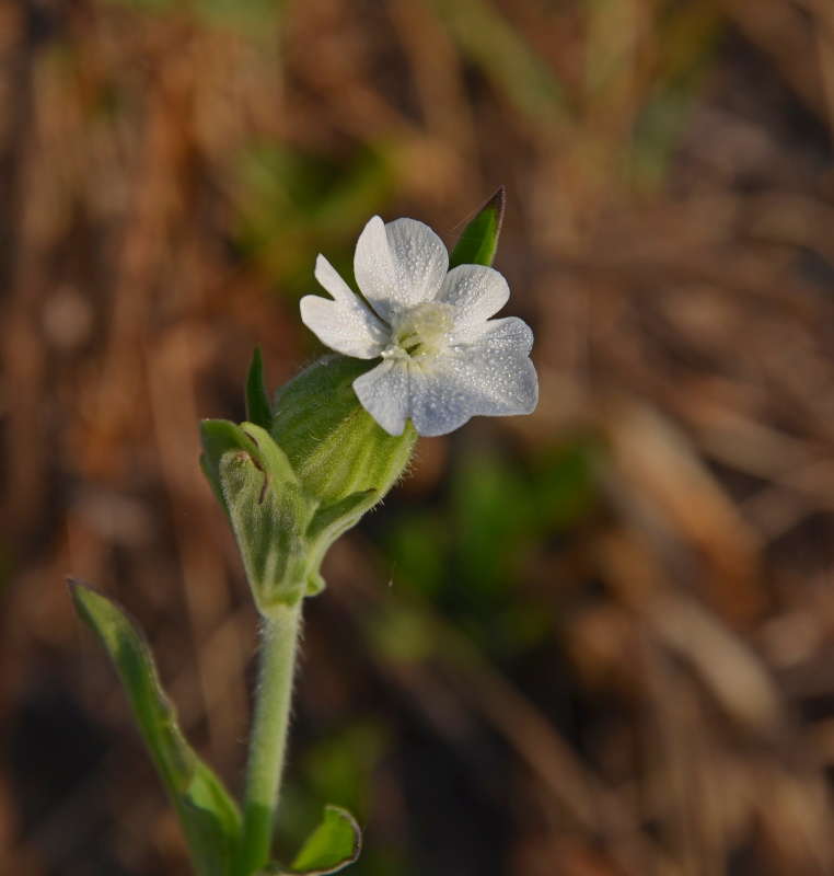 ����� ��������� ����� ����  �� PhotoGeek.ru #������ ��� ������� #����� �������������� #���������