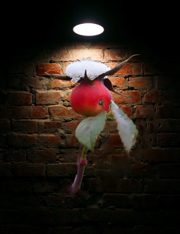 ... ����� ����  �� PhotoGeek.ru #�������� #������