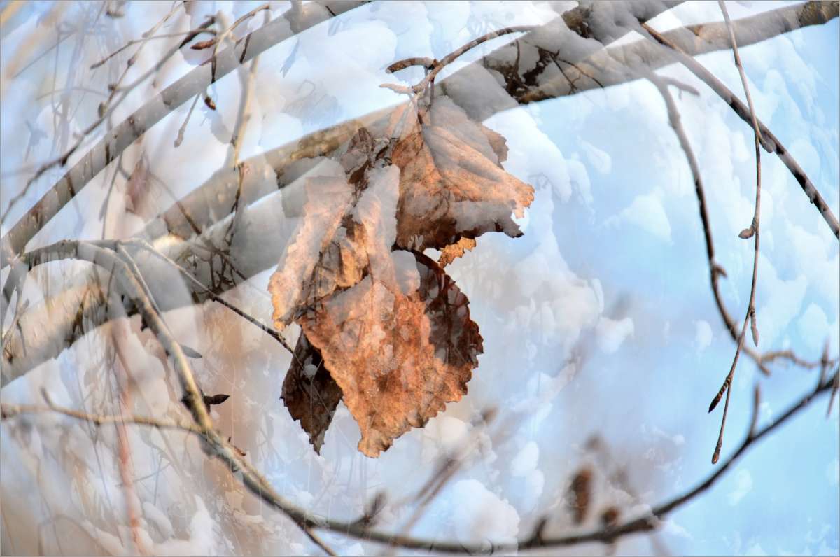 ���� ����� ����  �� PhotoGeek.ru #�������� #������ #������ ��� ������� #���������