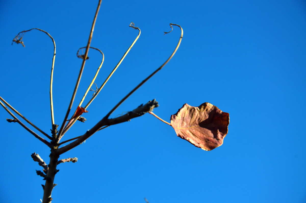 � ����������� ����� ����  �� PhotoGeek.ru #������ ��� ������� #��������� #������� �����