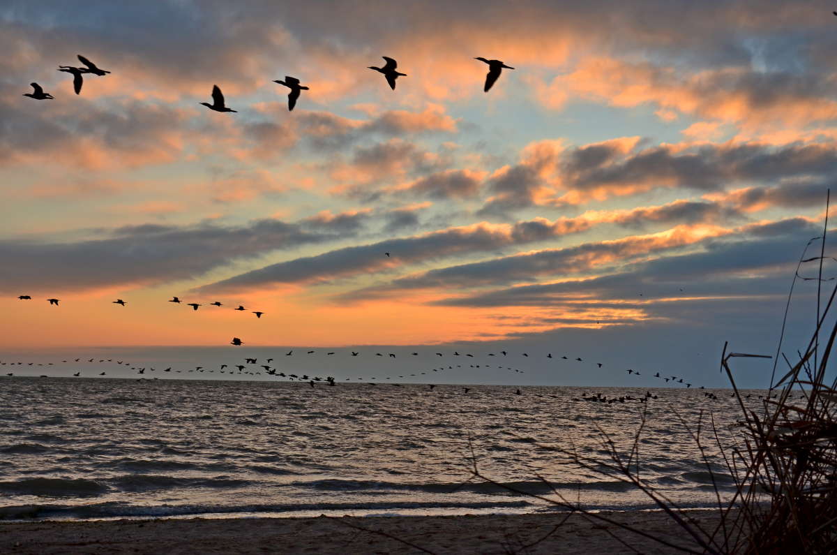 ������ ���� ����� ����  �� PhotoGeek.ru #�������� ��� #������ ��� ������� #����� ��� ��� ���������