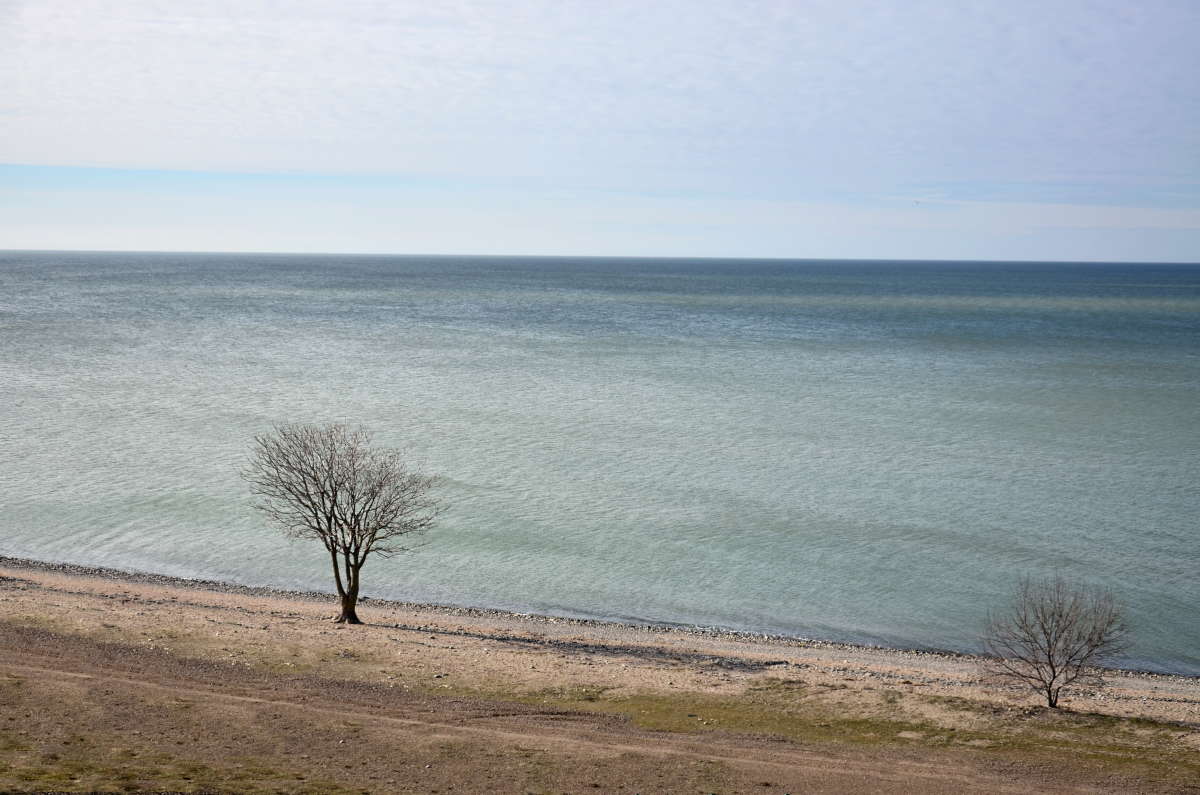 ���������� �������� ����� ����  �� PhotoGeek.ru #������ ��� �������