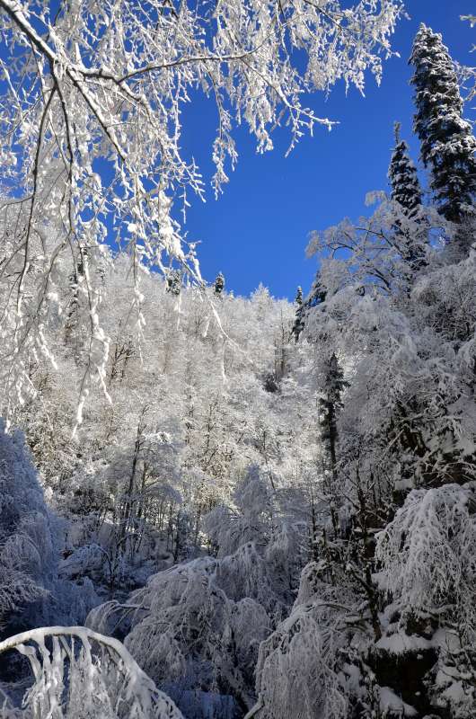 � ����� ������ ����� ����  �� PhotoGeek.ru #������ ��� �������