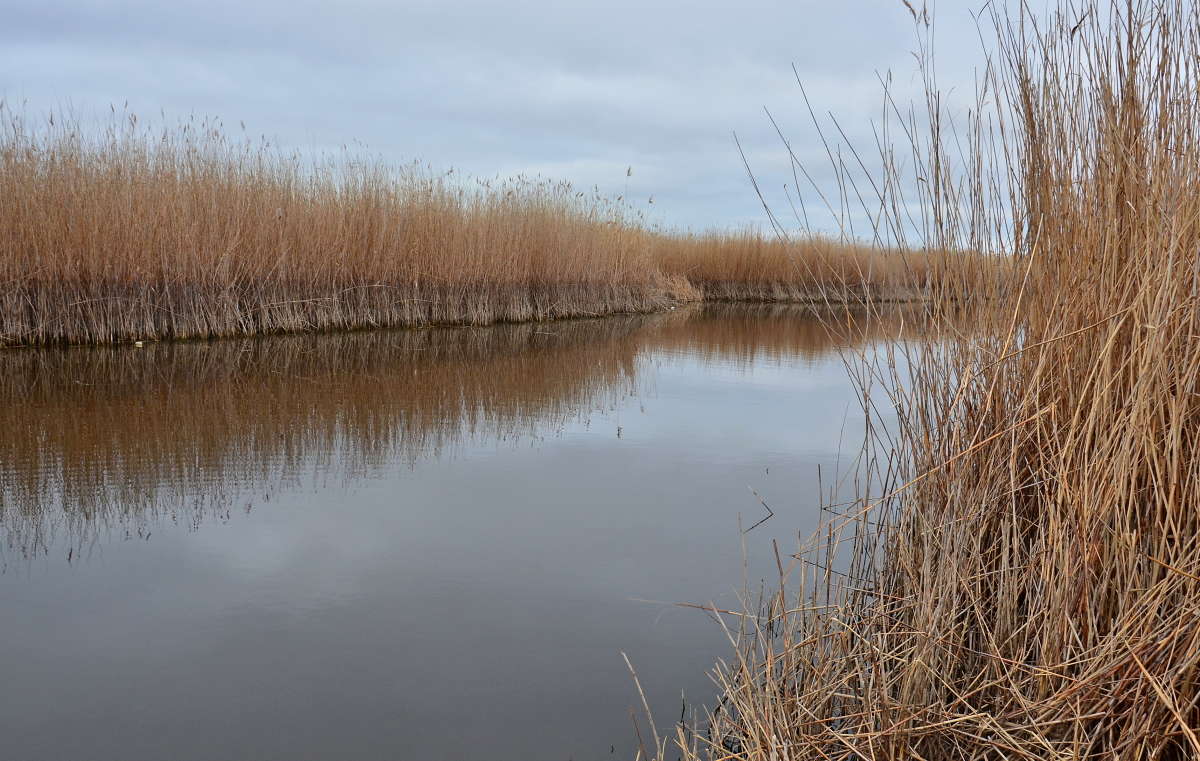 ������ ��������� ����� ����� ����  �� PhotoGeek.ru #������ ��� ������� #���������