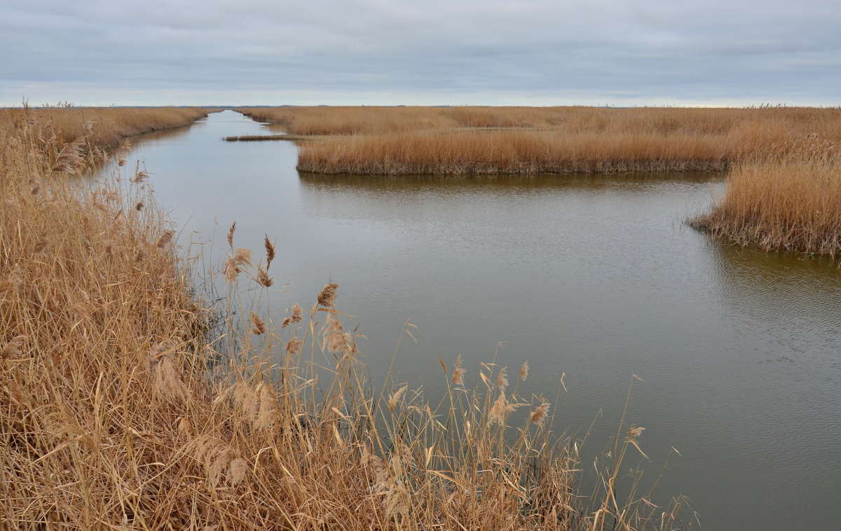 ������ ��������� ����� ����� ����  �� PhotoGeek.ru #������ ��� ������� #���������