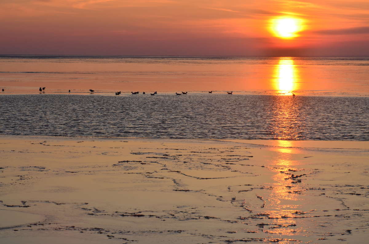 �������� ������� ����� ����  �� PhotoGeek.ru #������ ��� ������� #���������