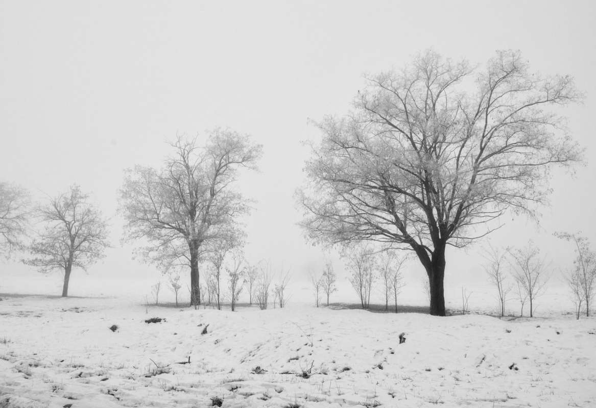 ����� ����� ������ ���� ����� ����  �� PhotoGeek.ru #�� #������ ��� ������� #���������