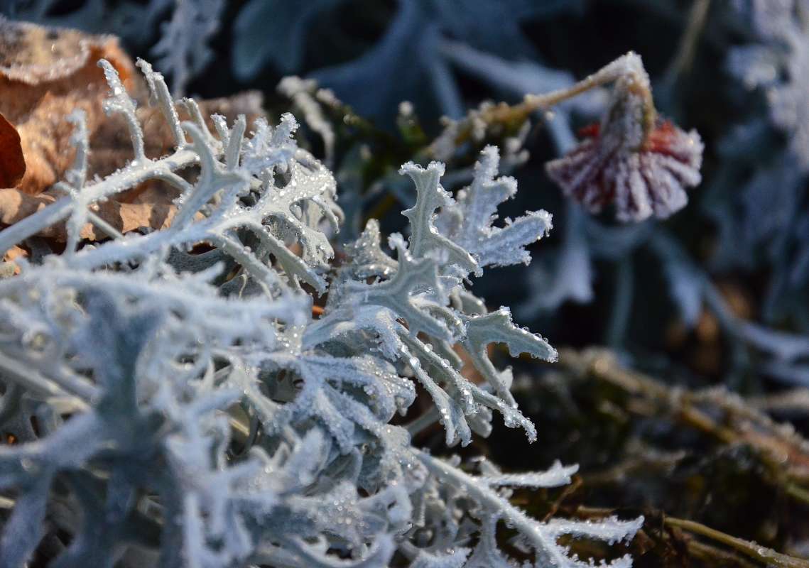 ... ����� ����  �� PhotoGeek.ru #������ ��� ������� #����� �������������� #���������