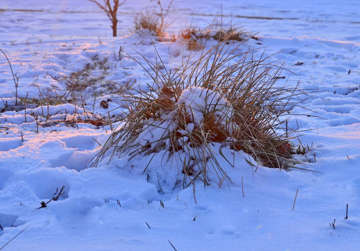 � �������� ���� ����� ����  �� PhotoGeek.ru #������ ��� ������� #���������