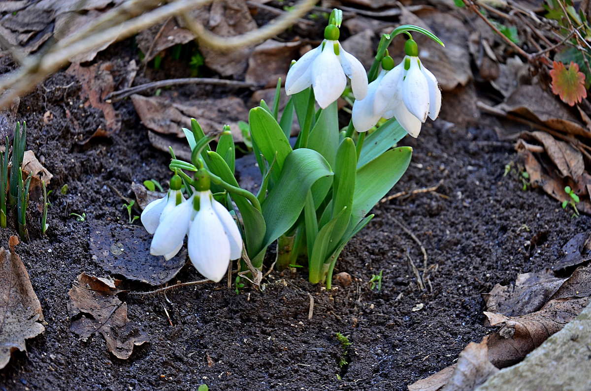 � ���������� ����� ����� ����  �� PhotoGeek.ru #������ ��� ������� #���������