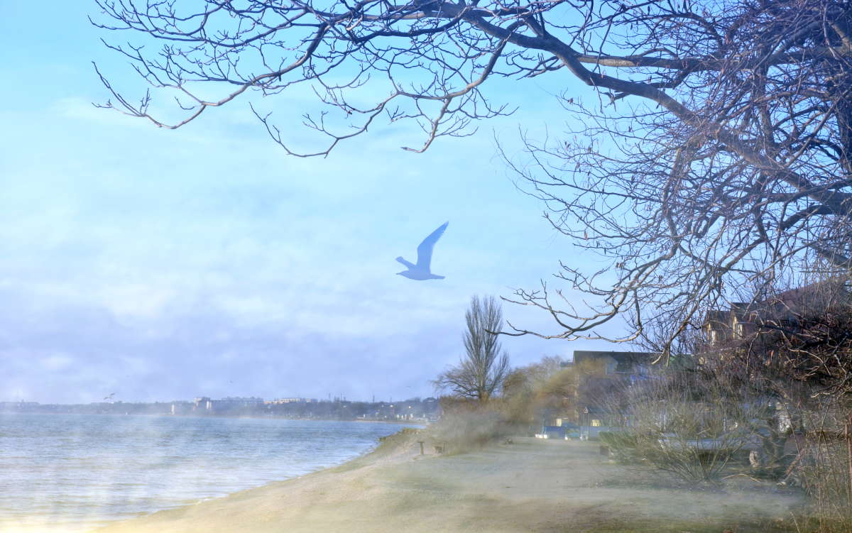 � ������ ����� ����  �� PhotoGeek.ru #�������� #Fine Art #������