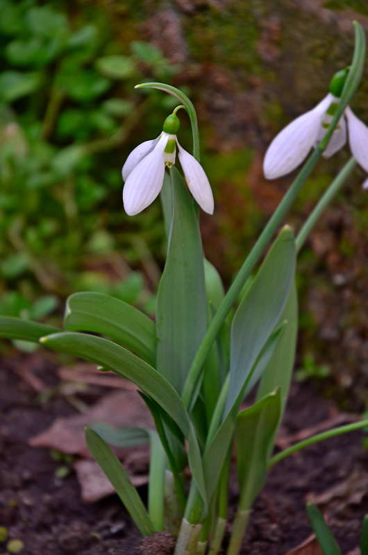 ����� ����� ����  �� PhotoGeek.ru #������ ��� ������� #����� �������������� #���������