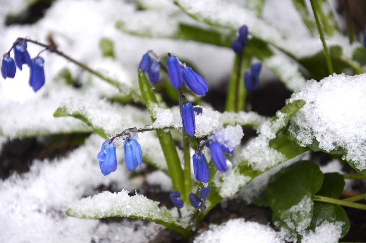 ��� ���� � ����� 2016 � ����� ����  �� PhotoGeek.ru #������ ��� ������� #����� �������������� #���������