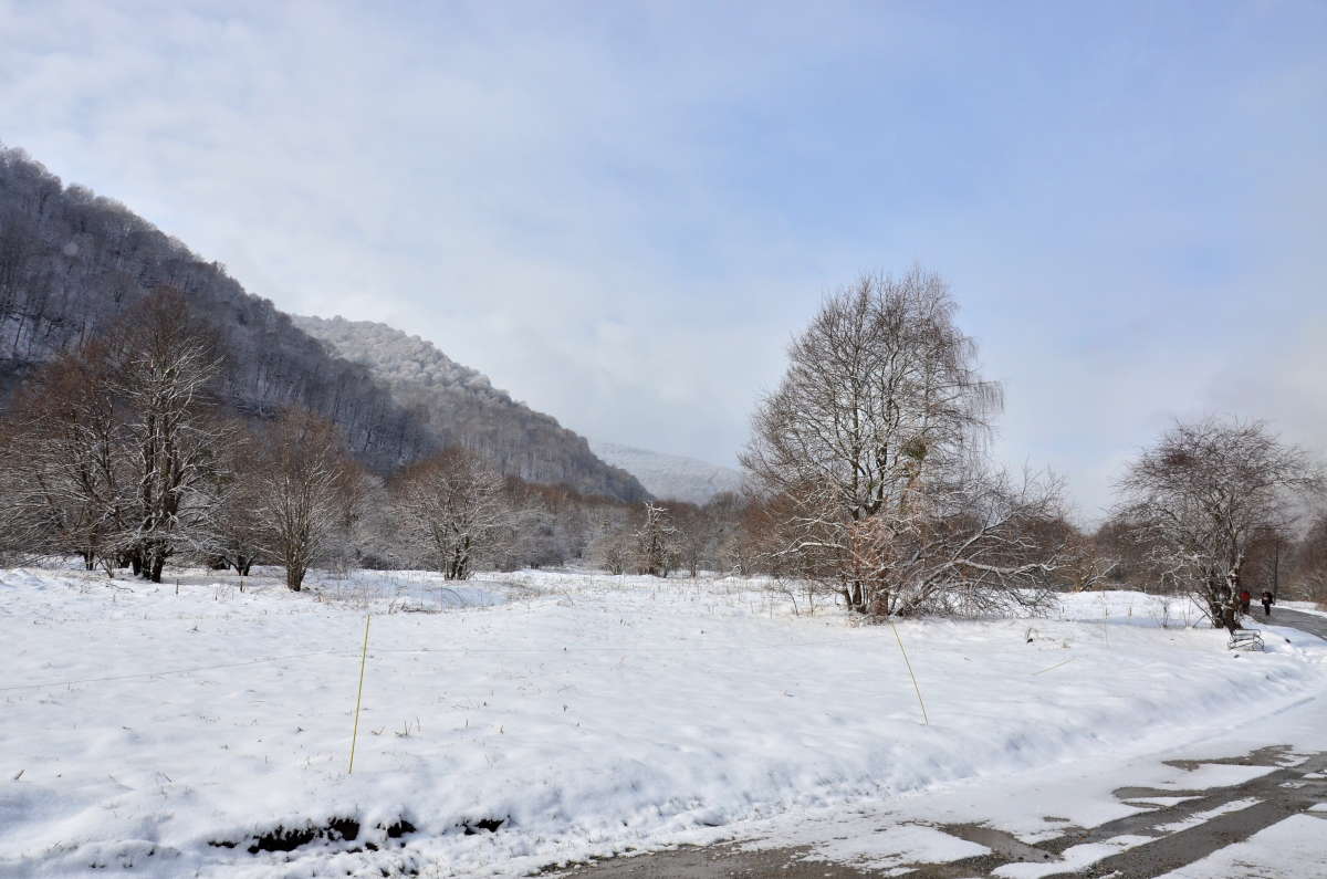 ����� � ���������-�������� ����� ����  �� PhotoGeek.ru #������ ��� ������� #���������