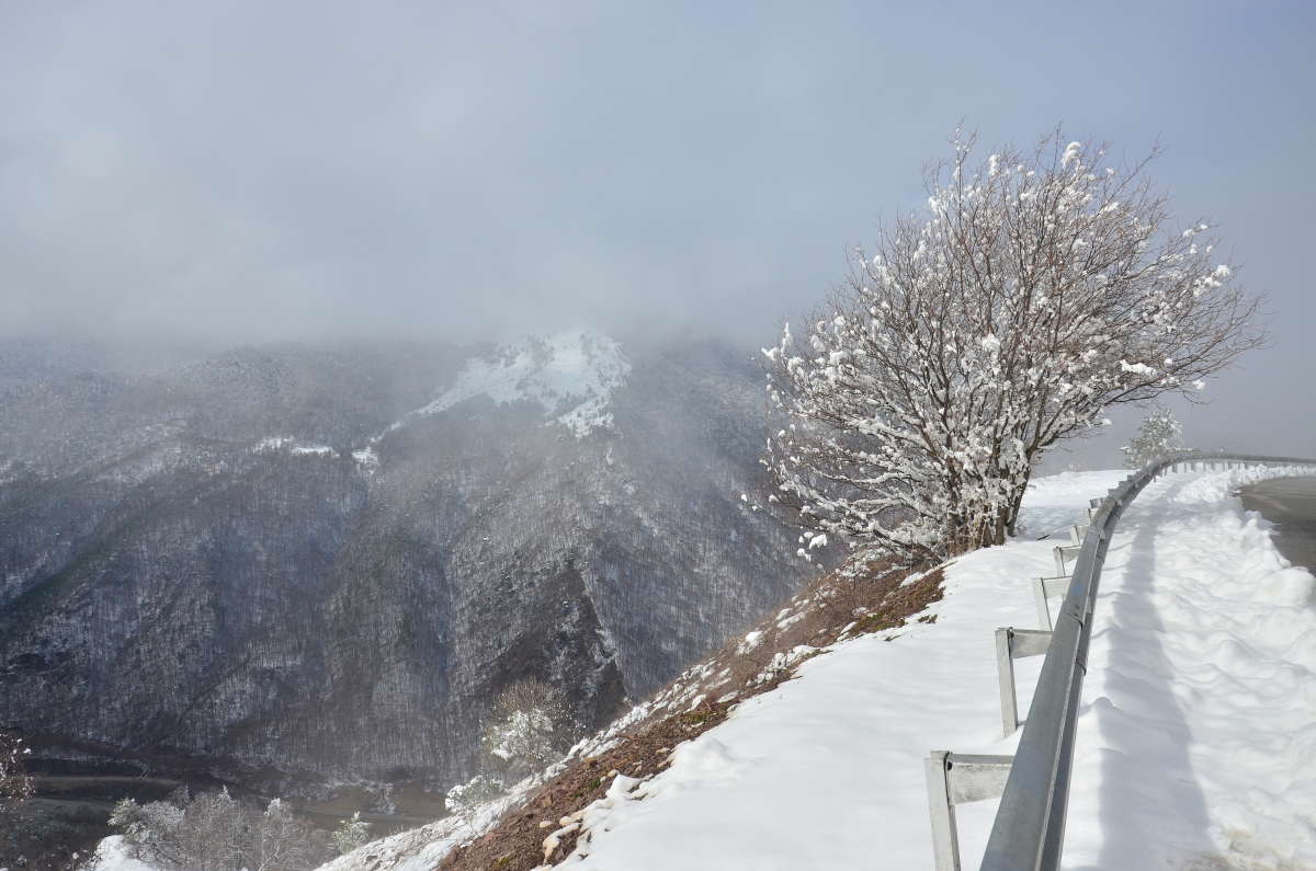 ����� � ���������-�������� ����� ����  �� PhotoGeek.ru #������ ��� ������� #���������