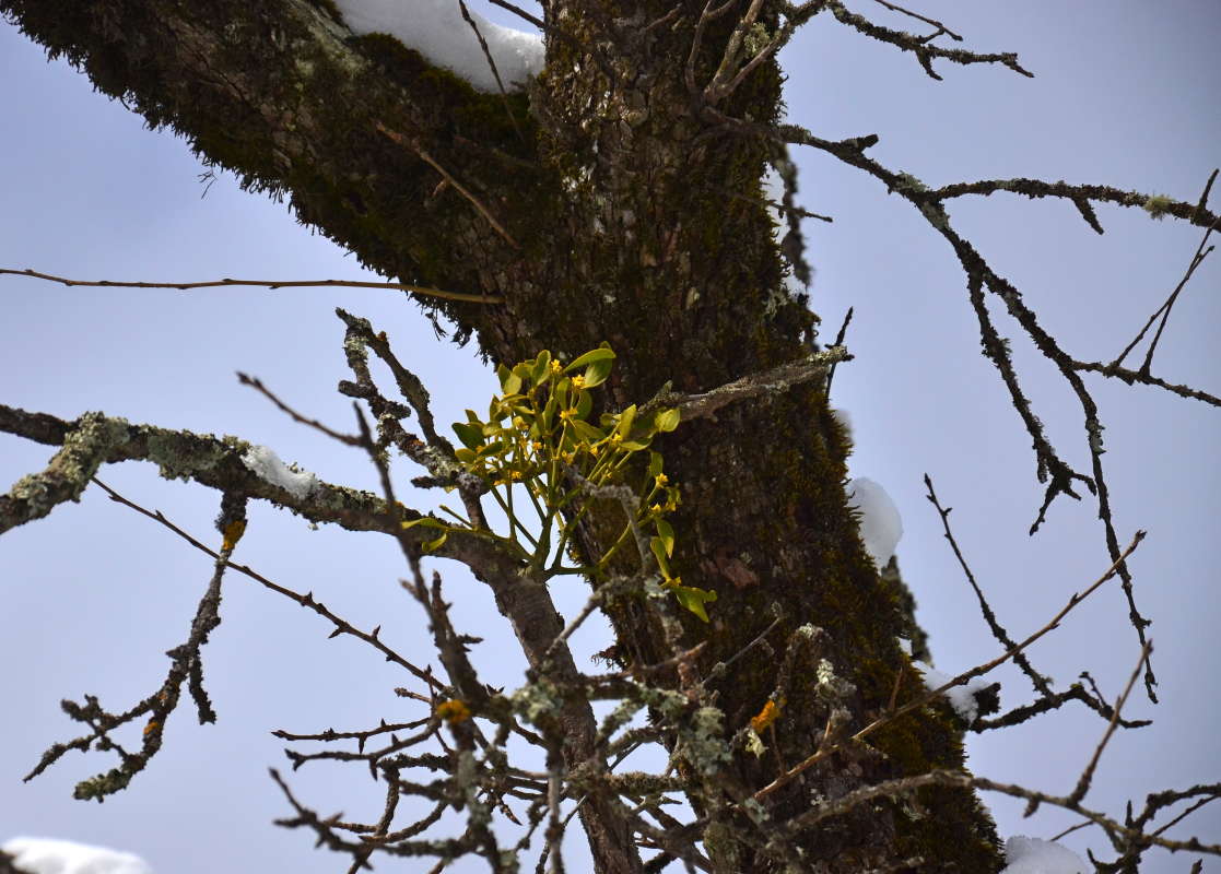 ����� ���� ���� ����� ����� ����  �� PhotoGeek.ru #������ ��� ������� #����� �������������� #���������