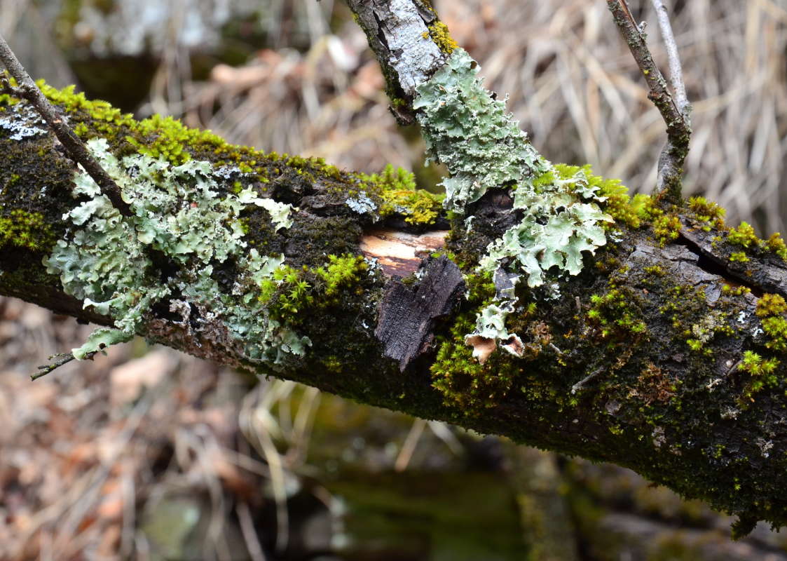 ... ����� ����  �� PhotoGeek.ru #������ ��� ������� #����� �������������� #���������