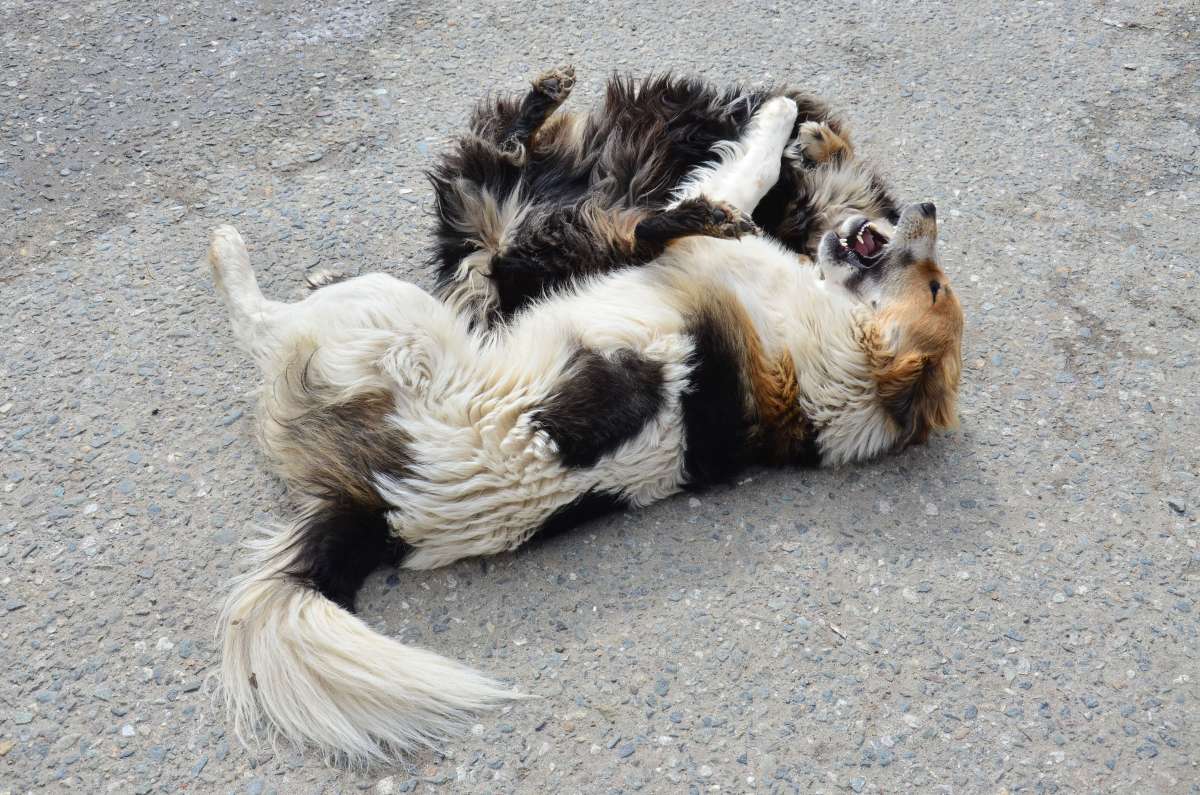 ������ ����� ����  �� PhotoGeek.ru #�������� ��� #����� ��� ��� ��������� #�������� ���