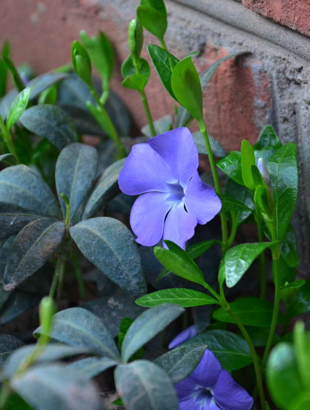 ����� � ����� ����� ����  �� PhotoGeek.ru #������ ��� ������� #����� �������������� #���������