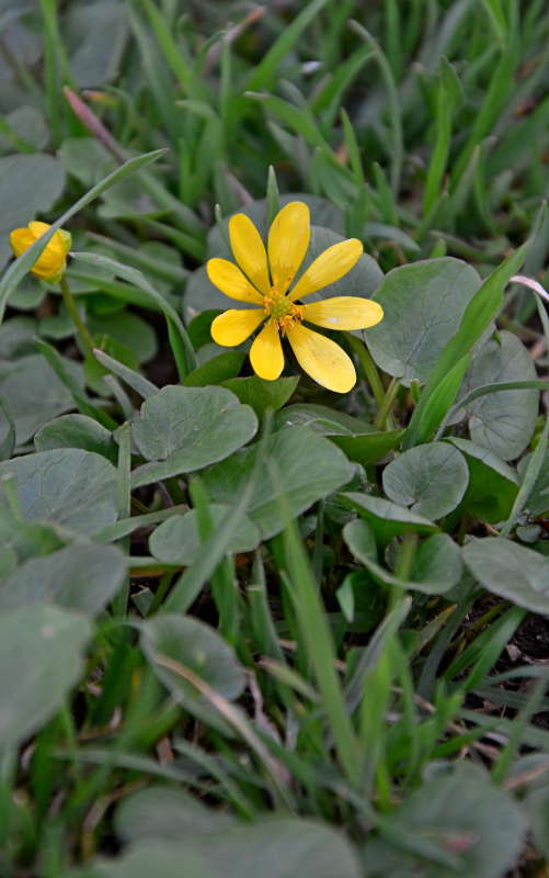 ����� � ����� ����� ����  �� PhotoGeek.ru #������ ��� ������� #����� �������������� #���������