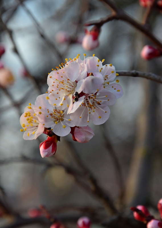 ������� �������� ����� ����  �� PhotoGeek.ru #������ ��� ������� #����� �������������� #���������