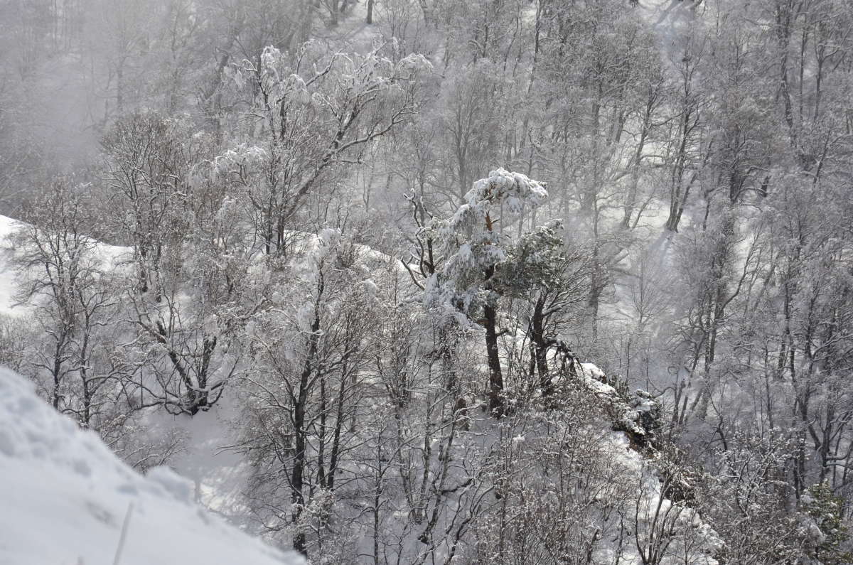 ����� � ����� ����� ����  �� PhotoGeek.ru #������ ��� ������� #���������