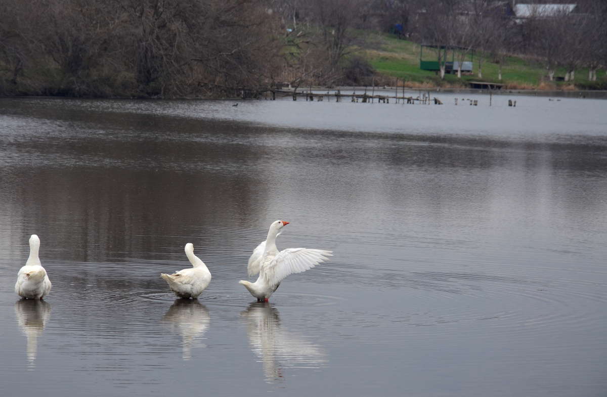 ����� ���� ����� ����  �� PhotoGeek.ru #�������� ��� #����� ��� ��� ��������� #�������� ���