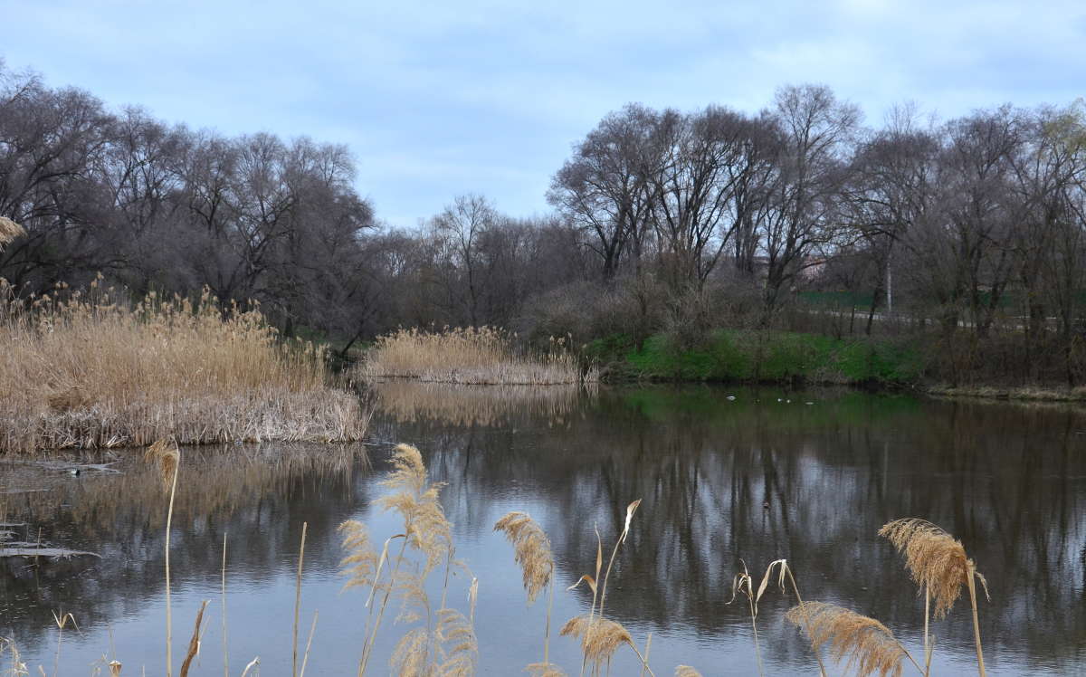 ����� �� ������� ����� ����  �� PhotoGeek.ru #������ ��� ������� #����� �������������� #���������