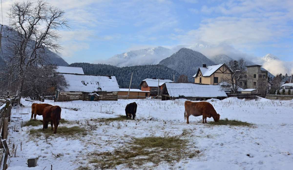 � ������� ����� ����� ����  �� PhotoGeek.ru #������ ��� ������� #���������