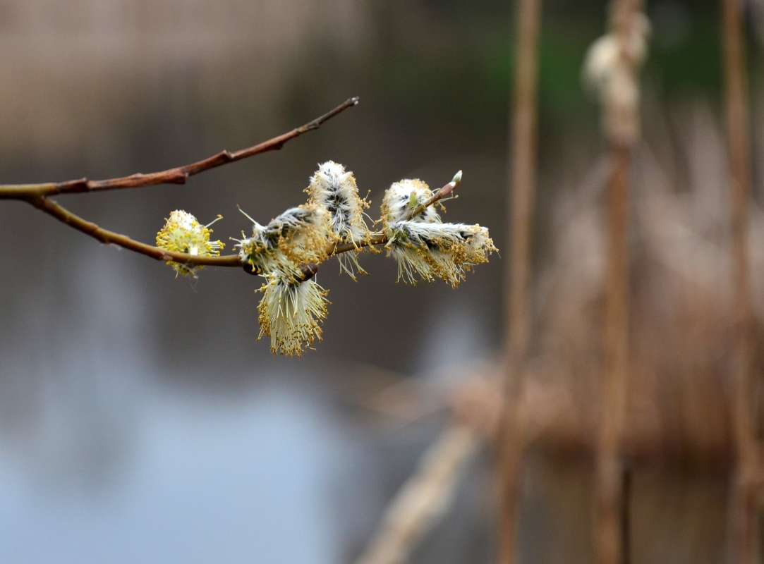 �������� ����� ����  �� PhotoGeek.ru #������ ��� ������� #����� �������������� #���������