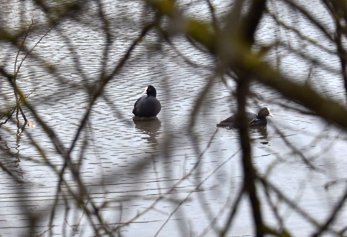 �� ���������� ������ ����� ����  �� PhotoGeek.ru #�������� ��� #����� ��� ��� ���������