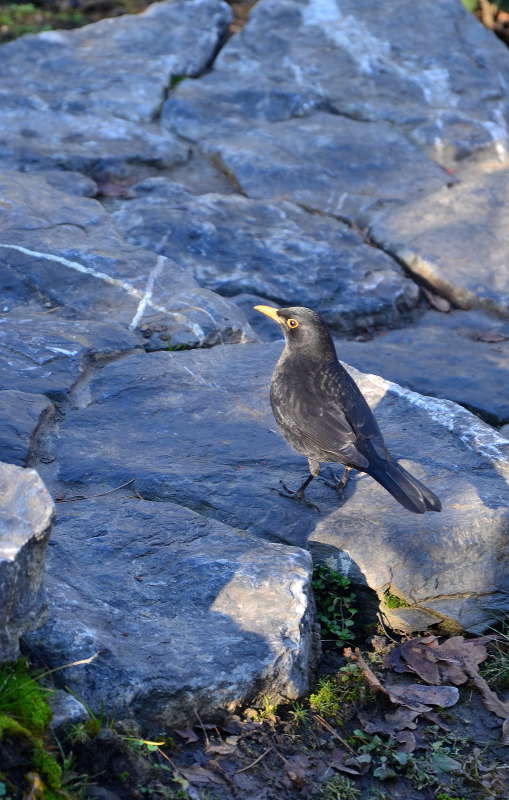 � �������� ����, ��������� ����� ����  �� PhotoGeek.ru #������ #Fine Art #����� #�������� ��� #����������� #�������� #����� ��� ��� ���������