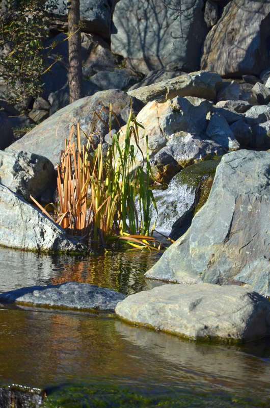 � �������� ����, ��������� ����� ����  �� PhotoGeek.ru #������ #Fine Art #����� #������ ��� ������� #����������� #��������