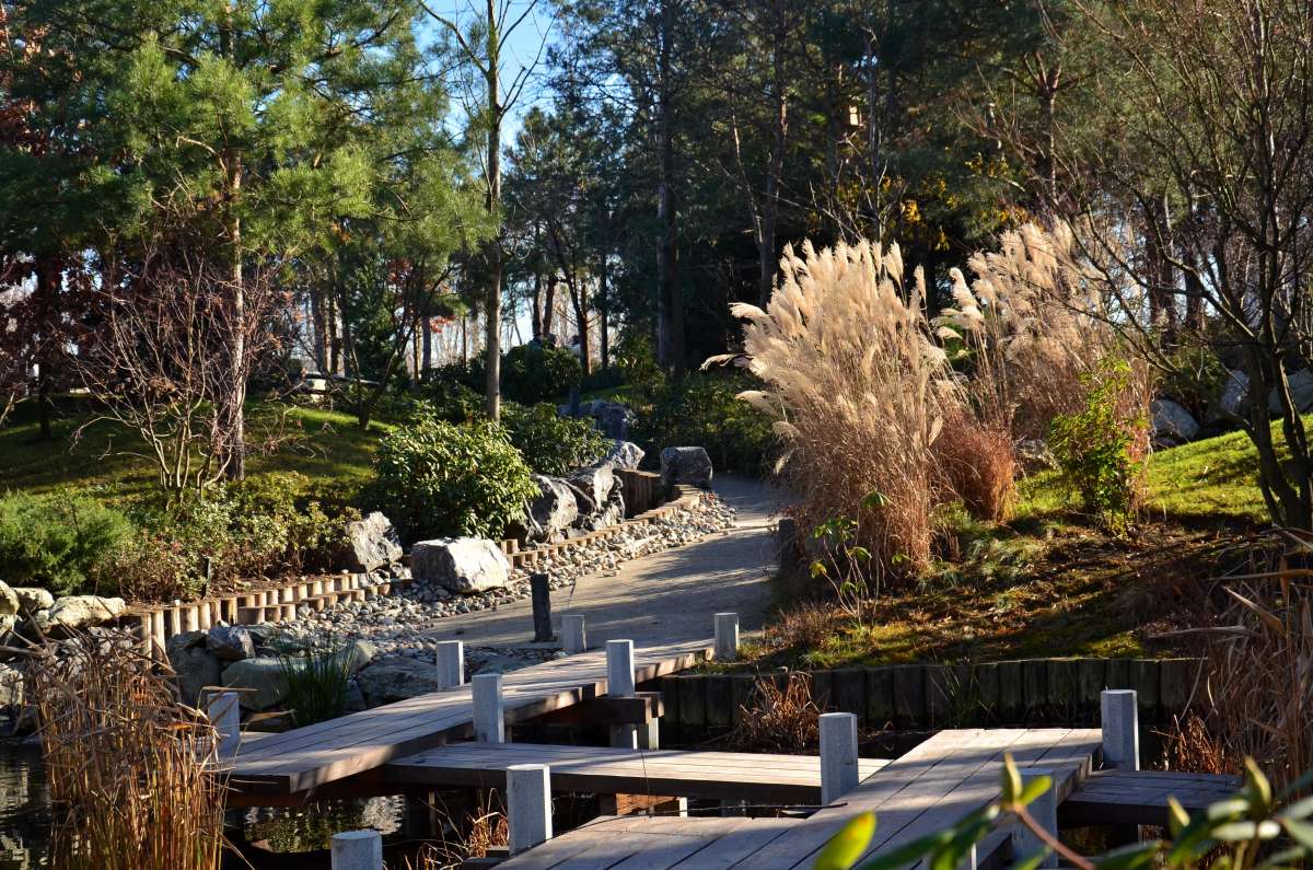 � �������� ����, ��������� ����� ����  �� PhotoGeek.ru #������ #Fine Art #����� #������ ��� ������� #����������� #��������