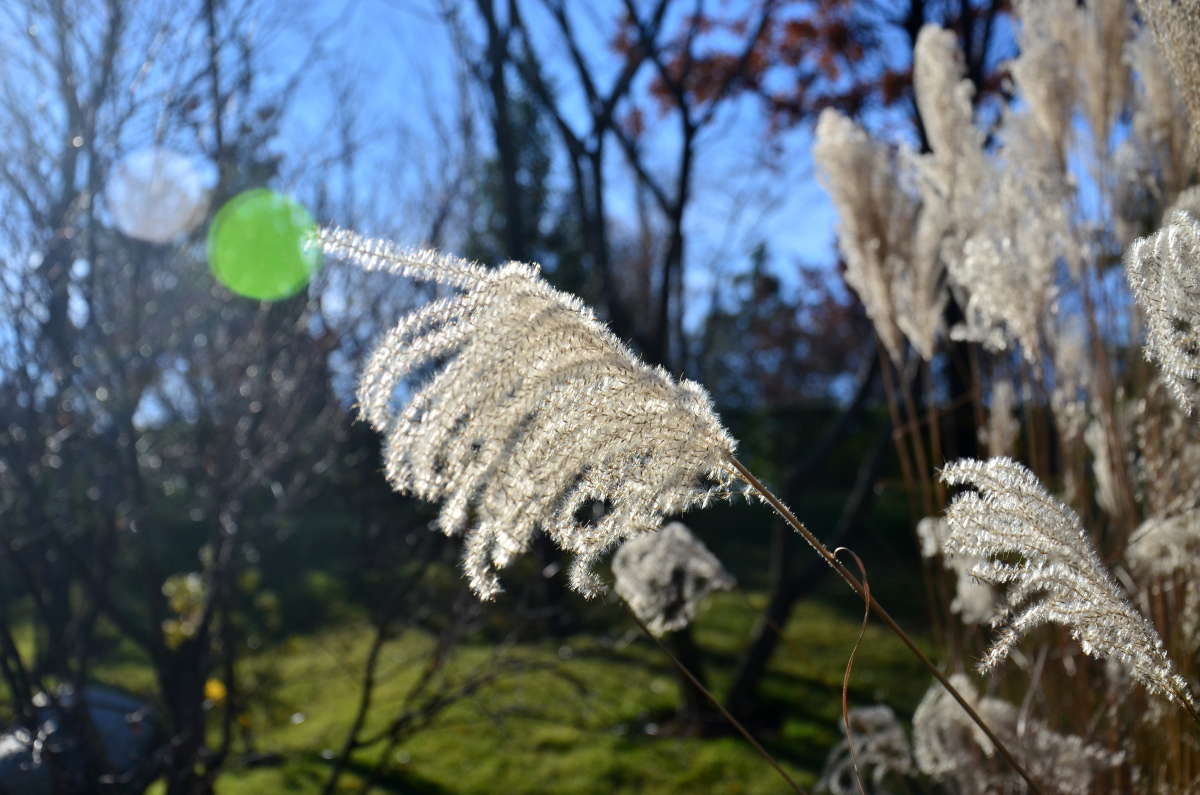 � �������� ����, ��������� ����� ����  �� PhotoGeek.ru #������ ��� ������� #���������